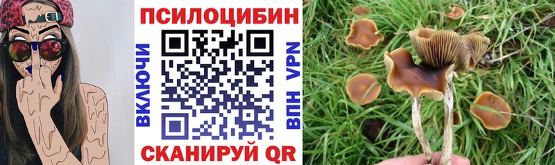 Галлюциногенные грибы мухоморы  Алатырь 